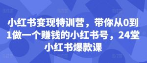 小红书变现特训营，带你从0到1做一个赚钱的小红书号，24堂小红书爆款课-八爪鱼资源库