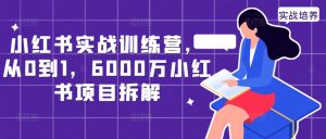 小红书实战训练营，从0到1，6000万小红书项目拆解-八爪鱼资源库