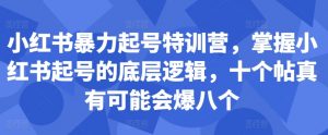 小红书暴力起号特训营，掌握小红书起号的底层逻辑，十个帖真有可能会爆八个-八爪鱼资源库