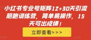 小红书专业号矩阵12+30天引流陪跑训练营，简单易操作，15天可出成绩!-八爪鱼资源库