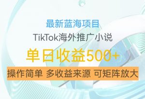 最新蓝海项目,利用tiktok海外推广小说赚钱佣金,简单易学,日入500+,可矩阵放大【揭秘】-八爪鱼资源库