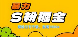 单人单机日引千粉，变现1k+，S粉流量掘金计划攻略【揭秘】-八爪鱼资源库