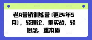 老A营销训练营(更24年10月)，轻理论，重实战，轻概念，重本质-八爪鱼资源库