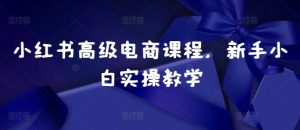 小红书高级电商课程，新手小白实操教学-八爪鱼资源库