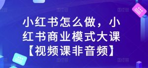 小红书怎么做，小红书商业模式大课【视频课非音频】-八爪鱼资源库