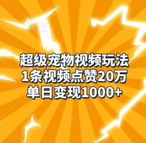 超级宠物视频玩法，1条视频点赞20万，单日变现1k-八爪鱼资源库