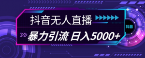 抖音快手视频号全平台通用无人直播引流法，利用图片模板和语音话术，暴力日引流100+创业粉【揭秘】-八爪鱼资源库