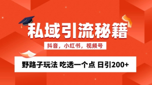 私域流量的精准化获客方法 野路子玩法 吃透一个点 日引200+ 【揭秘】-八爪鱼资源库