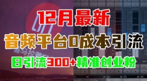 12月最新：音频平台0成本引流，日引流300+精准创业粉-八爪鱼资源库