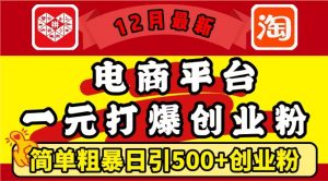 12月最新：电商平台1元打爆创业粉，简单粗暴日引500+精准创业粉，轻松月入过W【揭秘】-八爪鱼资源库