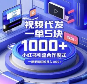 视频代发，一单5块，小红书引流合作模式，一部手机轻松日入多张【揭秘】-八爪鱼资源库