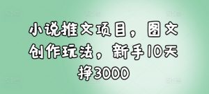 小说推文项目，图文创作玩法，新手10天挣3000-八爪鱼资源库