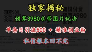 预算3980求带 图片玩法，单条日引流500+精准创业粉，私信根本回不完-八爪鱼资源库