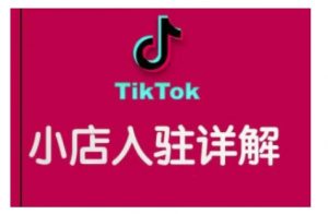 TikTok跨境小店运营全攻略，帮助你独立运营TK跨境小店的能力，实现销量增长-八爪鱼资源库