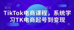 TikTok电商课程，​系统学习TK电商起号到变现-八爪鱼资源库