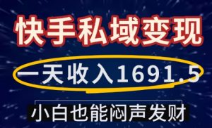 一天收入1691.5，快手私域变现，小白也能闷声发财-八爪鱼资源库