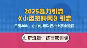 2025最新暴力引流方法，招聘平台一天引流300+，日变现多张，专业人士力荐-八爪鱼资源库