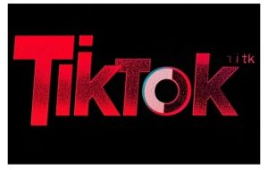 TikTok ads投流秘籍，涵盖tiktok整体投放思路，教你搭建测试计划-八爪鱼资源库