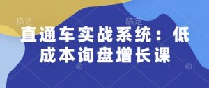 直通车实战系统：低成本询盘增长课，让个人通过技能实现升职加薪，让企业低成本获客，订单源源不断-八爪鱼资源库