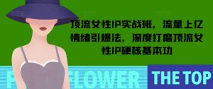 顶流女性IP实战班，流量上亿情绪引爆法，深度打磨顶流女性IP硬核基本功-八爪鱼资源库
