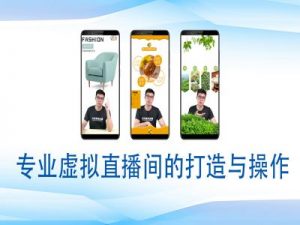 个人虚拟直播间的搭建与操作，专业虚拟直播间的打造与操作-八爪鱼资源库