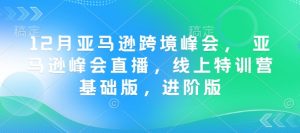 12月亚马逊跨境峰会， 亚马逊峰会直播，线上特训营基础版，进阶版-八爪鱼资源库
