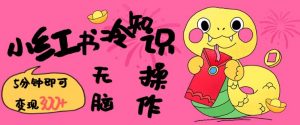 小红书冷知识账号，无脑复制粘贴，5分钟即可变现3张-八爪鱼资源库