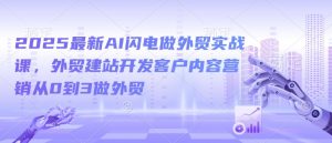 2025最新AI闪电做外贸实战课，外贸建站开发客户内容营销从0到3做外贸-八爪鱼资源库