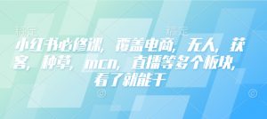 小红书必修课，覆盖电商，无人，获客，种草，mcn，直播等多个板块，看了就能干-八爪鱼资源库