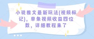 小说推文最新玩法(视频标记)，单条视频收益四位数，详细教程来了-八爪鱼资源库