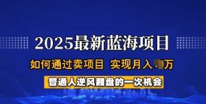 2025蓝海项目，普通人如何通过卖项目，实现月入过W，全过程【揭秘】-八爪鱼资源库