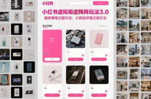 小红书虚拟矩阵玩法3.0，铺货铺笔记型打法，少款狂怼笔记型打法-八爪鱼资源库